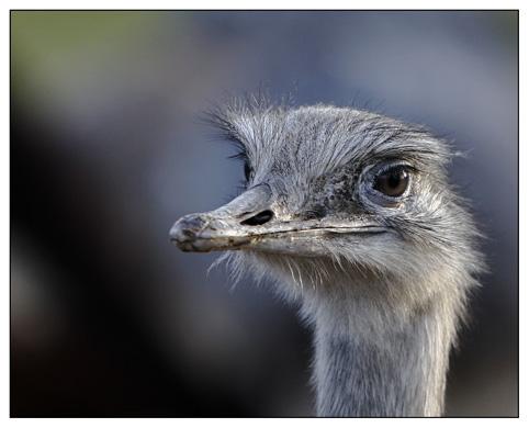 _MG_3617 Kopie_klein.jpg